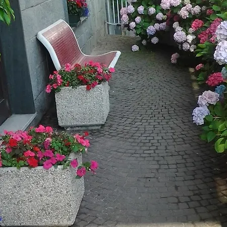 Casa Delle Ortensie * Alpignano